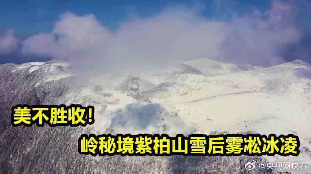 填满方块格