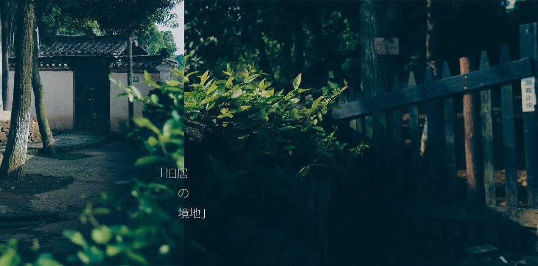 命运骰子