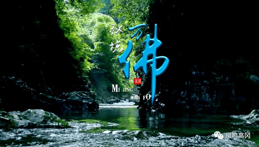 巫师之徒