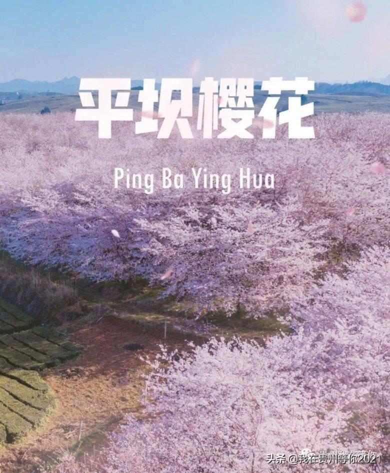逃离厨房制作现场