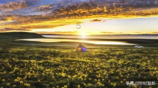 阿尔的派对夜