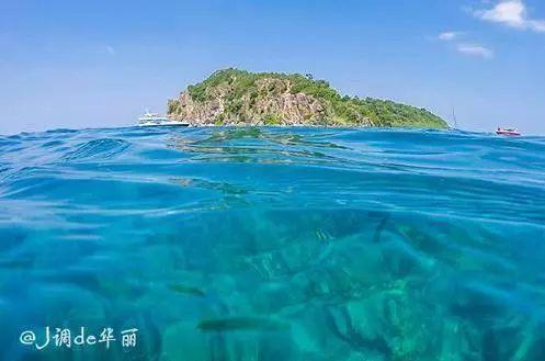特朗普赢得新罕布什尔州共和党初选