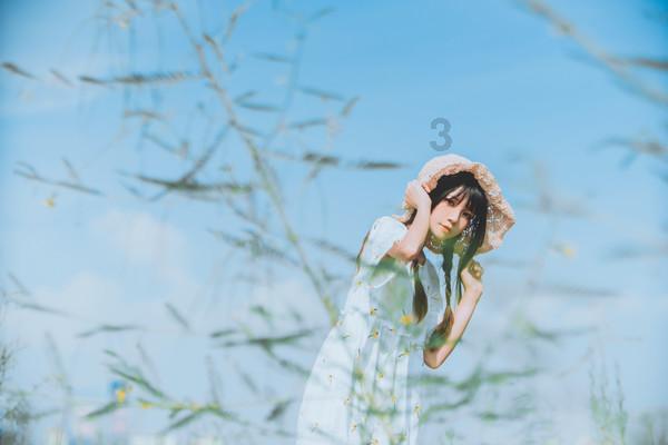 拯救精灵的土地6