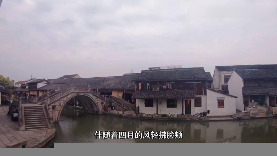 寻找萌小老虎