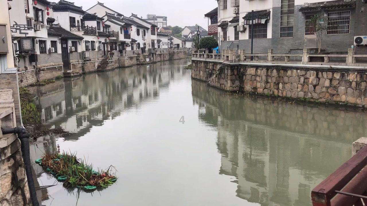牛油果面包